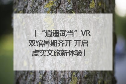 “逍遥武当”VR双馆暑期齐开 开启虚实文旅新体验