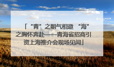 “青”之朝气相邀 “海”之胸怀奔赴——青海省招商引资上海推介会现场见闻