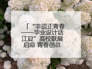 “非遗正青春——毕业设计话江夏”高校联展启幕 青春创意激活千年文脉