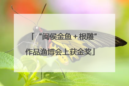 “闽侯金鱼＋根雕”作品渔博会上获金奖