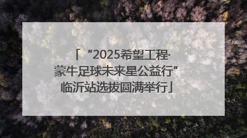 “2025希望工程·蒙牛足球未来星公益行”临沂站选拔圆满举行