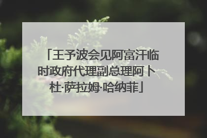 王予波会见阿富汗临时政府代理副总理阿卜杜·萨拉姆·哈纳菲