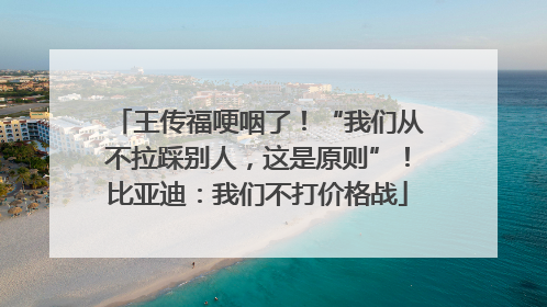王传福哽咽了！“我们从不拉踩别人，这是原则”！比亚迪：我们不打价格战