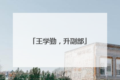 王学勤，升副部