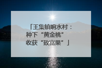 王集镇响水村：种下“黄金桃” 收获“致富果”