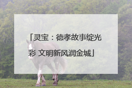 灵宝：德孝故事绽光彩 文明新风润金城