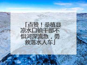 点赞！桑植县凉水口镇干部不惧河深流急，勇救落水人车
