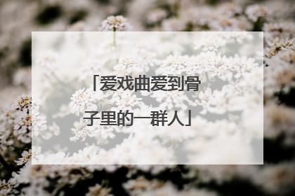 爱戏曲爱到骨子里的一群人