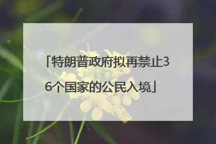 特朗普政府拟再禁止36个国家的公民入境