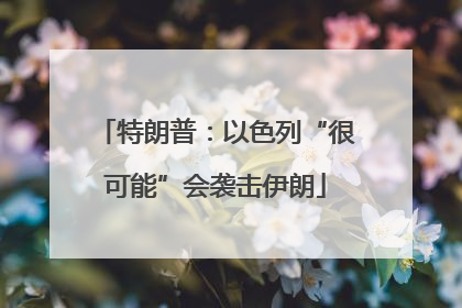 特朗普：以色列“很可能”会袭击伊朗