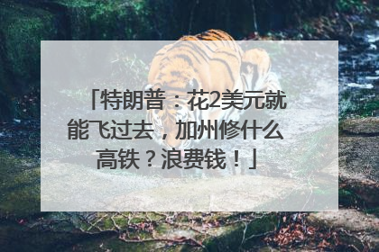 特朗普：花2美元就能飞过去，加州修什么高铁？浪费钱！