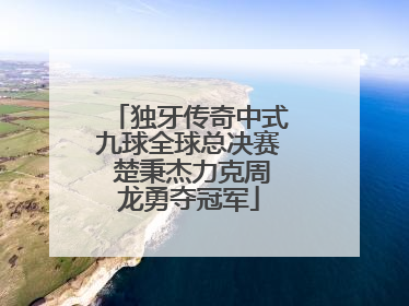 独牙传奇中式九球全球总决赛 楚秉杰力克周龙勇夺冠军