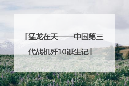 猛龙在天——中国第三代战机歼10诞生记