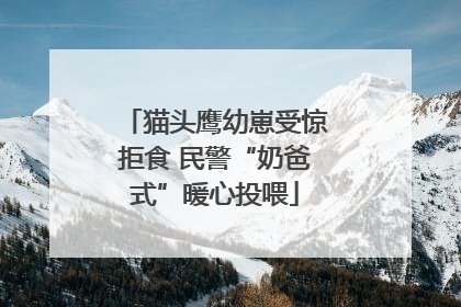 猫头鹰幼崽受惊拒食 民警“奶爸式”暖心投喂