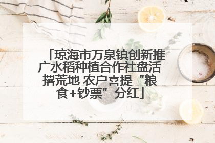 琼海市万泉镇创新推广水稻种植合作社盘活撂荒地 农户喜提“粮食+钞票”分红