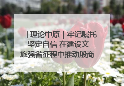 理论中原｜牢记嘱托 坚定自信 在建设文旅强省征程中推动殷商文化传承创新
