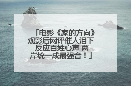 电影《家的方向》观影后网评催人泪下 反应百姓心声 两岸统一成最强音！