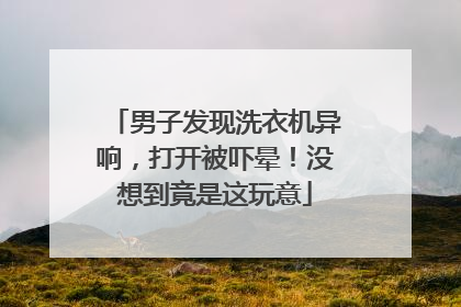 男子发现洗衣机异响，打开被吓晕！没想到竟是这玩意
