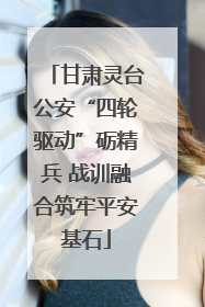 甘肃灵台公安“四轮驱动”砺精兵 战训融合筑牢平安基石