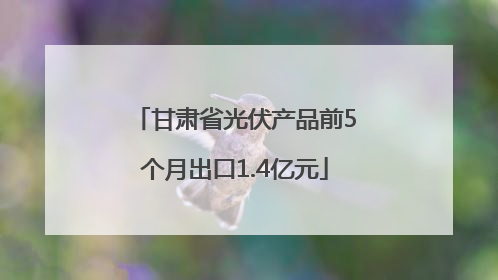 甘肃省光伏产品前5个月出口1.4亿元