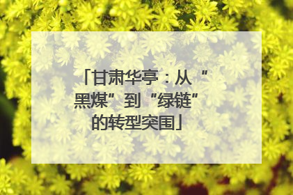 甘肃华亭：从“黑煤”到“绿链”的转型突围