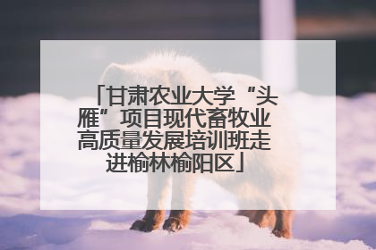 甘肃农业大学“头雁”项目现代畜牧业高质量发展培训班走进榆林榆阳区