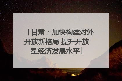 甘肃：加快构建对外开放新格局 提升开放型经济发展水平
