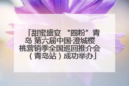 甜蜜盛宴 “圈粉”青岛 第六届中国·澄城樱桃营销季全国巡回推介会（青岛站）成功举办
