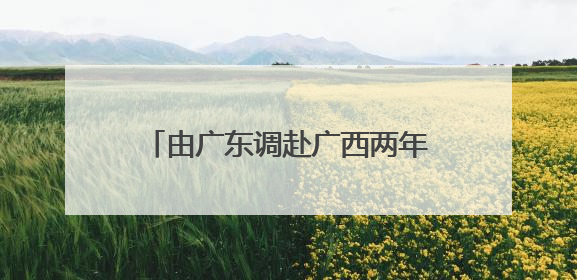 由广东调赴广西两年多后，“85后”张东方当选苍梧县县长