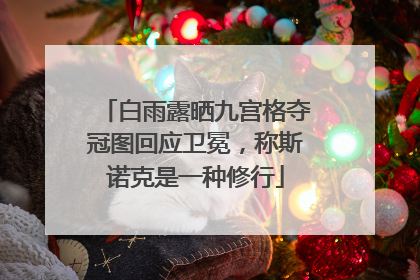 白雨露晒九宫格夺冠图回应卫冕，称斯诺克是一种修行