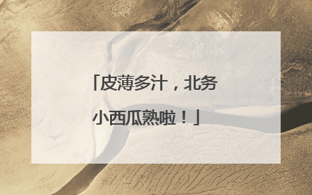 皮薄多汁，北务小西瓜熟啦！
