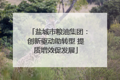 盐城市粮油集团：创新驱动助转型 提质增效促发展