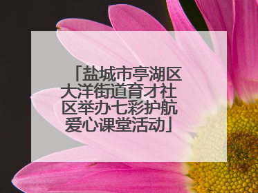 盐城市亭湖区大洋街道育才社区举办七彩护航爱心课堂活动