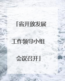 省开放发展工作领导小组会议召开
