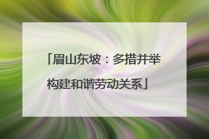 眉山东坡：多措并举构建和谐劳动关系
