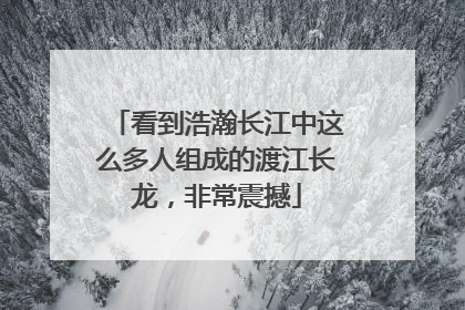看到浩瀚长江中这么多人组成的渡江长龙，非常震撼