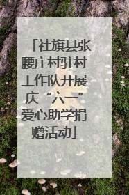 社旗县张腰庄村驻村工作队开展庆“六一”爱心助学捐赠活动