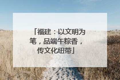 福建：以文明为笔，品端午粽香，传文化纽带