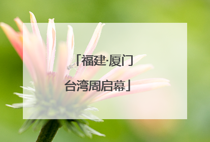 福建·厦门台湾周启幕
