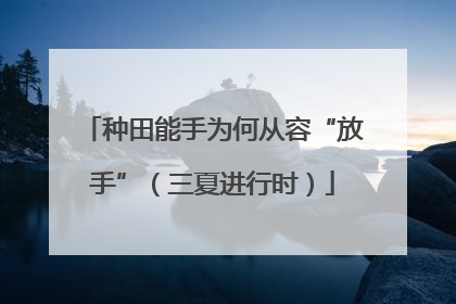 种田能手为何从容“放手”（三夏进行时）