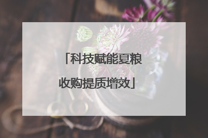 科技赋能夏粮收购提质增效