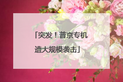 突发！普京专机遭大规模袭击