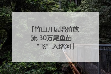 竹山开展增殖放流 30万尾鱼苗“飞”入堵河