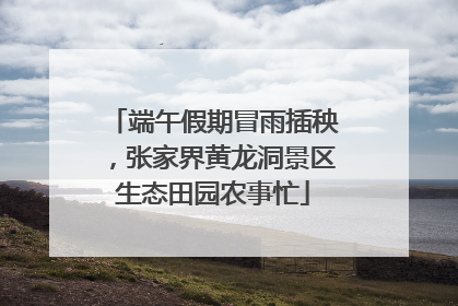 端午假期冒雨插秧，张家界黄龙洞景区生态田园农事忙