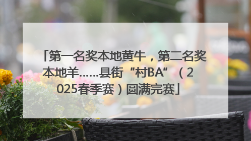 第一名奖本地黄牛，第二名奖本地羊……县街“村BA”（2025春季赛）圆满完赛