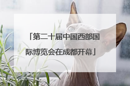 第二十届中国西部国际博览会在成都开幕