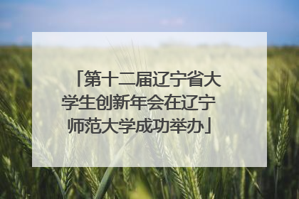 第十二届辽宁省大学生创新年会在辽宁师范大学成功举办