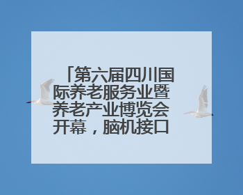 第六届四川国际养老服务业暨养老产业博览会开幕，脑机接口等黑科技亮相