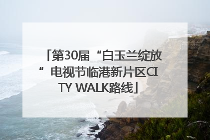 第30届“白玉兰绽放”电视节临港新片区CITY WALK路线