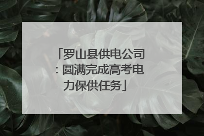 罗山县供电公司：圆满完成高考电力保供任务
